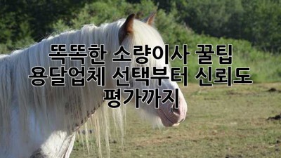 똑똑한 소량이사 꿀팁🍯: 용달업체 선택부터 신뢰도 평가까지!