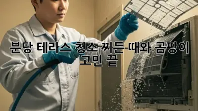 분당 테라스 청소, 찌든 때와 곰팡이 고민 끝!