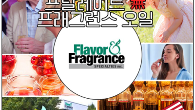 향기로운 힐링 ✨ 초특가 왁스방향제 만들기 DIY 후기! 🍯